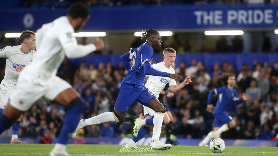 表现虽然受 表现虽然受